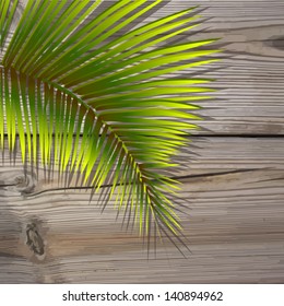 Leaves of palm trees on the background of wooden boards