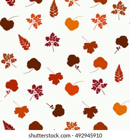 Leaves pattern. Autumn seamless vector background with different kinds of leaves of flowers, bushes, herbs, trees. Herbarium. Nature.