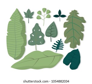 Leaves pattern background