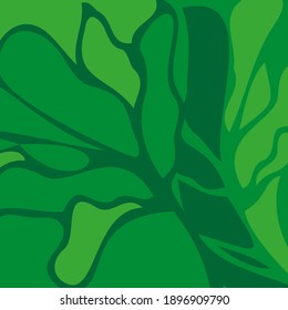 Patrón de hojas. patrón de hoja verde. Dibujado a mano. Ilustración del vector