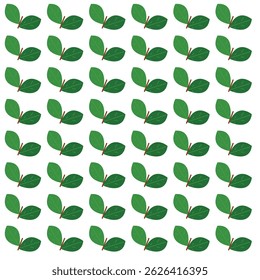 leaves pattern illustration on white background 