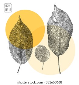 Leaves. Pattern with leaf. Hand Drawn vector 