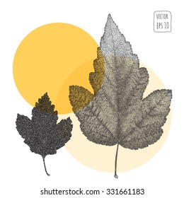 Leaves. Pattern with leaf. Hand Drawn vector 