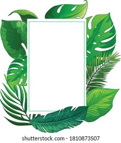 Leaves pattern to make the card very beautiful.