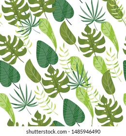 Leaves pattern on white background vector illustration