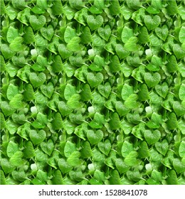 Leaves pattern and leaves texture seamless pattern geometric pattern vector file. Can be use as a background. Scale able to any size.