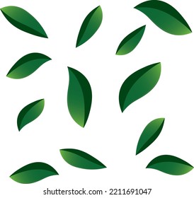 leaves pattern with white background. Seameless pattern tropical leaves frame decoration. Summer iconic tropical island