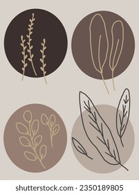 Leaves patterns i side brown circles on white background, illustrations, vector aesthetic for wallpaper, wall decor, templates covers, art prints