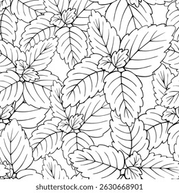 Leaves peppermint black and white seamless pattern for fabric textile wallpaper wrapping cosmetic and food product packaging coloring books scrapbooking  