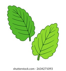 Leaves peppermint color flat vector images for nature projects eco-friendly branding cosmetic food product packaging scrapbooking stickers