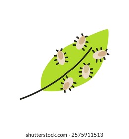 Leaves with pests. Pests destroys a healthy leaf. Flat vector illustration isolated on white background.