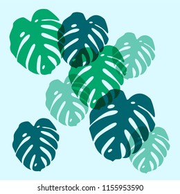 Leaves of philodendron, modern background. Vector illustration.