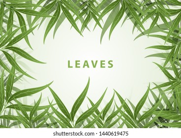 Leaves placed on a green background