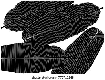 Leaves of plant background pattern design. - Illustration,Plant, Textile, wallpaper, Leaf, Palm Tree