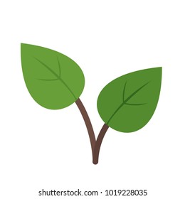 Leaves, plant, color