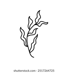 Folhas, planta em estilo doodle. Vetor, sobre fundo branco
