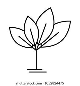 leaves plant ecology icon