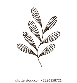 leaves plant foliage nature icon