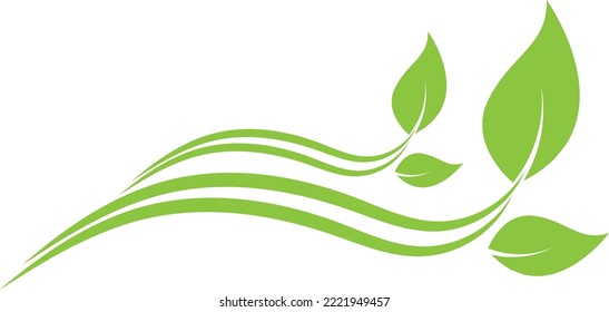 Leaves, plant in green, spa and gardener background