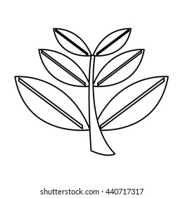leaves plant  isolated icon design
