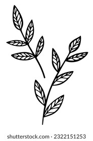 Leaves plant line art simple drawn icon. Wild grass doodle botanical sketch. Vector illustration isolated on white background. Organic hand drawn element image.