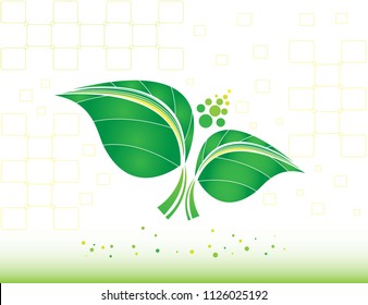 Leaves plant logo design.