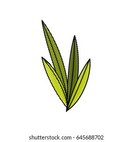 leaves plant nature foliage botanical image