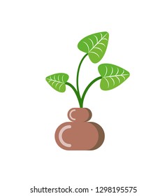 Leaves of plant in pot vector, isolated icon of houseplant with foliage. Growing botanical frondage with stable, potted decorative element, herbal nature
