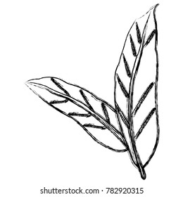 Leaves plant symbol