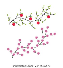 Leaves plant twig flower and fruit