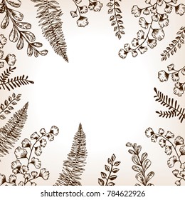 Leaves of plants engraving vector illustration. Brown aged background. Scratch board style imitation. Hand drawn image.