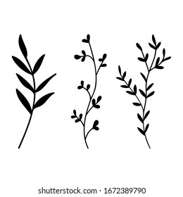 Leaves and plants hand drawn flat illustration. Botanical design elements. Vector sketch clip art set.