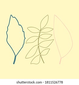 Hojas y plantas dibujadas a mano con ilustración plana. Elementos de diseño botánico. Conjunto de imágenes prediseñadas para boceto vectorial.