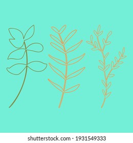 Leaves and plants hand drawn flat illustration. Botanical design elements. Vector sketch clip art set.