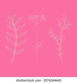 Leaves and plants hand drawn flat illustration. Botanical design elements. Vector sketch clip art set.