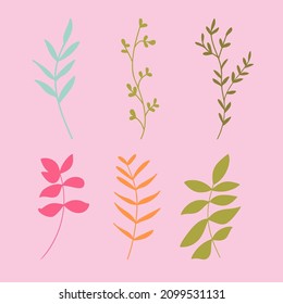 Hojas y plantas dibujadas a mano con ilustración plana. Elementos de diseño botánico. Conjunto de imágenes prediseñadas de esbozo vectorial.