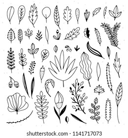 Leaves and plants hand drawn set. Cute botanical clipart natural elements