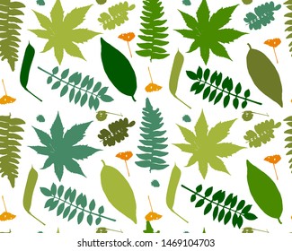 Leaves and plants, seamless pattern for your design