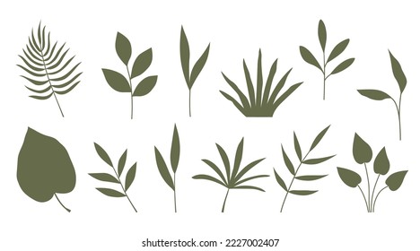 Leaves of plants set. Vector aesthetic different plants of a muted shade in a flat style