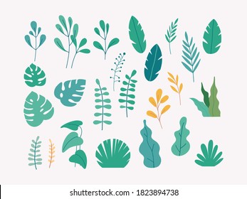 Leaves, plants and trees vector set. Flat design illustration