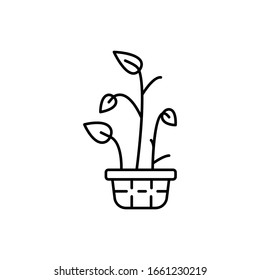 Deja en el icono de la olla. Línea simple, contorno vectorial elementos de planta doméstica para ui y ux, sitio web o aplicación móvil