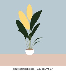 Leaves and pot it use motion graphics 