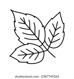 leaves raspberry fruit line icon vector. leaves raspberry fruit sign. isolated contour symbol black illustration