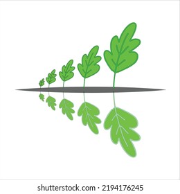 hojas y reflejos aislados en fondo blanco, diseño de hoja vectorial