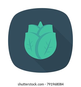 leaves salad leaf 