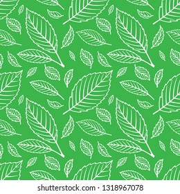 Leaves seamless background. Hand drawn leaves seamless pattern.
Green leaves sketch drawing icons and symbols. Cherry leaves.