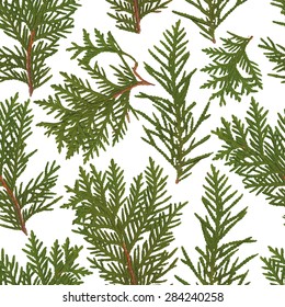 Leaves seamless pattern isolated on white background