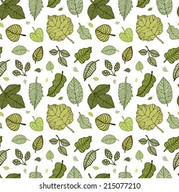 Leaves. Seamless pattern with leaf. Hand Drawn vector background.