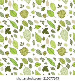 Leaves. Seamless pattern with leaf. Hand Drawn vector background.