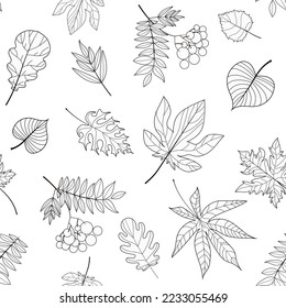 Deja un patrón impecable. Sale en forma de contorno. Patrón de rowan, abedul, castaño, roble, hojas de arce. Ilustración del vector
